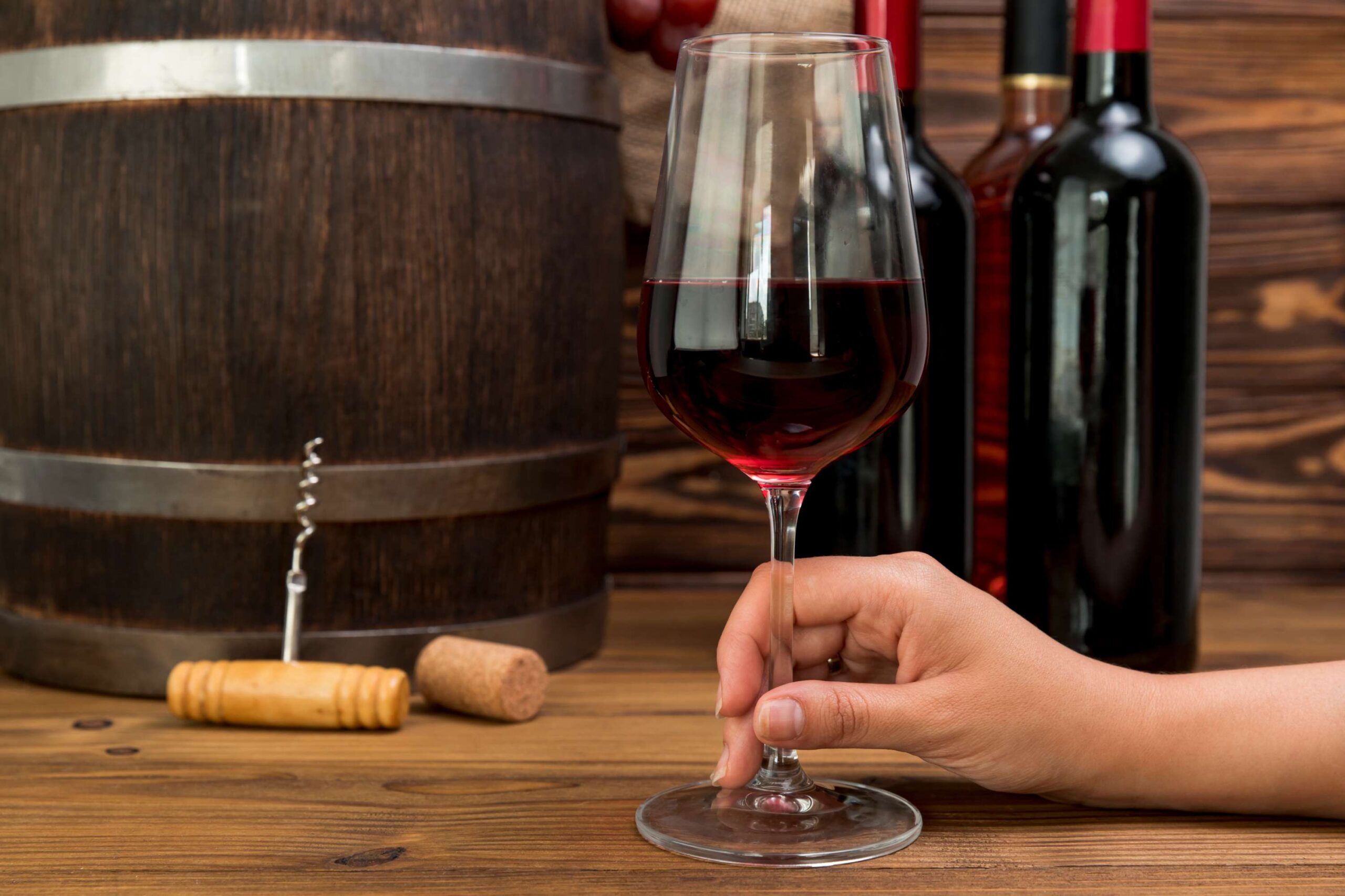 dégustation de vins naturels